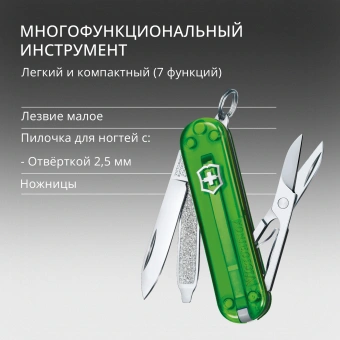 Нож перочинный Victorinox Classic SD Green Tea (0.6223.T41G) 58мм 7функц. подар.коробка - купить недорого с доставкой в интернет-магазине