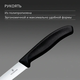 Нож кухонный Victorinox Swiss Classic Gourmet (6.7933) стальной разделочный для стейка/пиццы лезв.120мм серрейт. заточка черный - купить недорого с доставкой в интернет-магазине