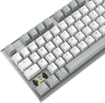 Клавиатура A4Tech Fstyler FS100 Neon механическая серый/белый USB for gamer LED (FS100) - купить недорого с доставкой в интернет-магазине