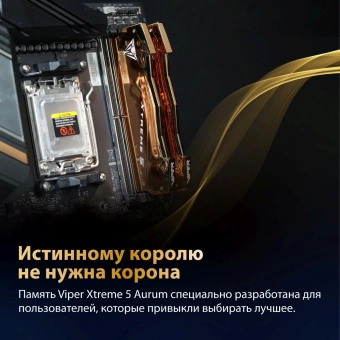 Память DDR5 2x16GB 6400MHz Patriot VXA532G6432K Viper Xtreme 5 RTL Gaming PC5-51200 CL32 DIMM 288-pin 1.4В с радиатором Ret - купить недорого с доставкой в интернет-магазине