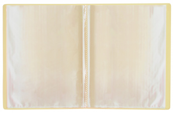 Папка с 20 прозр.вклад. Бюрократ Pastel PAST20YEL A4 пластик 0.5мм торц.карм с бум. встав желтый - купить недорого с доставкой в интернет-магазине