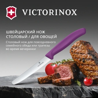 Нож кухонный Victorinox Swiss Classic (6.7835.C1) стальной столовый для томатов лезв.110мм серрейт. заточка пурпурный - купить недорого с доставкой в интернет-магазине