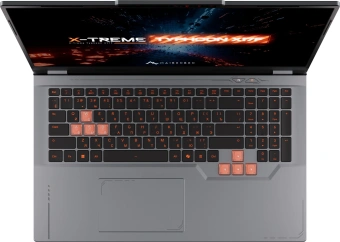 Ноутбук Maibenben X17F-R98956 Ryzen 9 8940HX 16Gb SSD512Gb NVIDIA GeForce RTX 5060 8Gb 17.3" IPS FHD (1920x1080) Windows 11 Home grey WiFi BT Cam 5200mAh (X17F-R989560F34HG4E10) - купить недорого с доставкой в интернет-магазине