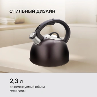 Чайник металлический Rondell Tierno RDS-1900 2.9л. фиолетовый - купить недорого с доставкой в интернет-магазине