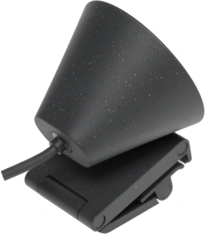 Камера Web Logitech HD Webcam Brio 300 черный 2Mpix (1920x1080) USB Type-C с микрофоном (960-001438) - купить недорого с доставкой в интернет-магазине