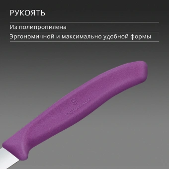 Нож кухонный Victorinox Swiss Classic 6.7605.C1 для чистки овощей и фруктов лезв.80мм прямая заточка пурпурный - купить недорого с доставкой в интернет-магазине