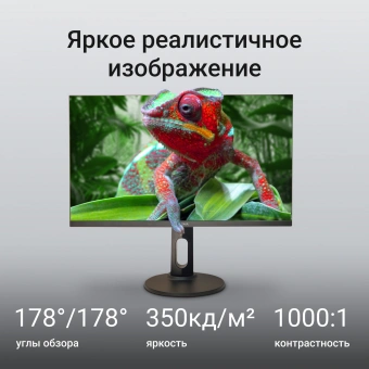 Монитор Digma 27" Progress 27P505U черный IPS LED 16:9 HDMI M/M матовая HAS Piv 350cd 178гр/178гр 3840x2160 60Hz FreeSync DP 4K 6.05кг - купить недорого с доставкой в интернет-магазине