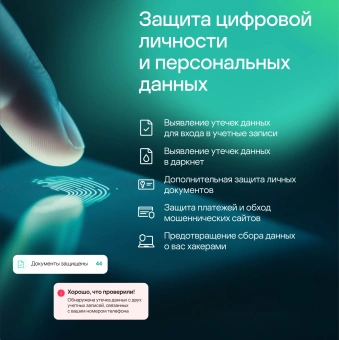 Программное Обеспечение Kaspersky Standard 1-Device 1 year Base Card (KL1041ROAFS) - купить недорого с доставкой в интернет-магазине
