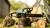 Электрическая цепная пила Bosch UniversalChain 40 1800Вт дл.шины:16" (40cm) (06008B8402) - купить недорого с доставкой в интернет-магазине