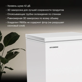 Морозильный ларь Hyundai CH15081 белый 72Вт - купить недорого с доставкой в интернет-магазине