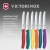 Набор ножей кухон. Victorinox Swiss Classic 6.7836.6C1 компл.:6предм. ассорти европодвес - цена, купить или заказать с доставкой в интернет-магазине Набор ножей кухон. Victorinox Swiss Classic 6.7836.6C1 компл.:6предм. ассорти европодвес - купить недорого с доставкой в интернет-магазине