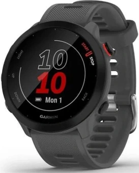 Смарт-часы Garmin Forerunner 55 42мм 1.04" LCD корп.серый рем.серый разм.брасл.:127-220мм (010-02562-13) - купить недорого с доставкой в интернет-магазине