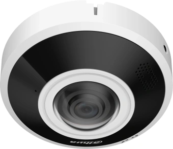 Камера видеонаблюдения IP Dahua DH-IPC-EBW5641-AS 1.68-1.68мм цв. - купить недорого с доставкой в интернет-магазине