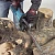 Цепная пила Makita UC3041A от сети 1800Вт дл.шины:12" (30cm)