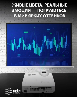 Проектор Cactus Bright CS-V1.WT 3LCD 64000Lm LS 4000Lm ANSI (1024x768) 30000:1 ресурс лампы:10000часов 1xUSB typeA 1xUSB typeB 2xHDMI 4кг - купить недорого с доставкой в интернет-магазине
