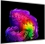 Телевизор OLED LG 55" OLED55G6RLA.ARUG атласное серебро 4K Ultra HD 120Hz DVB-T2 DVB-C DVB-S2 USB WiFi Smart TV - купить недорого с доставкой в интернет-магазине