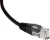 Патч-корд Lanmaster TWT-45-45-0.3-BK UTP RJ-45 вил.-вилка RJ-45 кат.5E 0.3м черный ПВХ (уп.:1шт) - купить недорого с доставкой в интернет-магазине