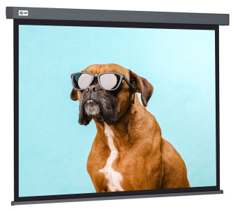 Экран Cactus 149.4x265.7см Wallscreen CS-PSW-149X265-SG 16:9 настенно-потолочный рулонный серый - купить недорого с доставкой в интернет-магазине