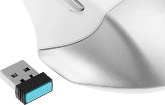 Мышь A4Tech Fstyler FB35 белый/серый оптическая 2000dpi беспров. BT/Radio USB для ноутбука 6but (FB35 ICY WHITE) - купить недорого с доставкой в интернет-магазине
