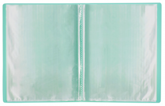 Папка с 20 прозр.вклад. Бюрократ Pastel PAST20GRN A4 пластик 0.5мм торц.карм с бум. встав мятный - цена, купить или заказать с доставкой в интернет-магазине Папка с 20 прозр.вклад. Бюрократ Pastel PAST20GRN A4 пластик 0.5мм торц.карм с бум. встав мятный - купить недорого с доставкой в интернет-магазине