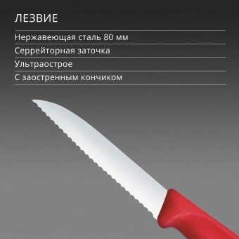 Нож кухонный Victorinox Swiss Classic (6.7431.C1) стальной универсальный для овощей лезв.80мм серрейт. заточка красный - купить недорого с доставкой в интернет-магазине