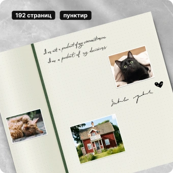 Блокнот Moleskine CLASSIC SOFT QP624K15 XLarge 190х250мм 192стр. пунктир мягкая обложка зеленый - купить недорого с доставкой в интернет-магазине
