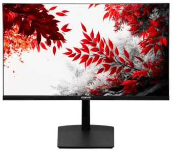 Монитор RDW Computers 31.5" RDW3207 черный IPS 5ms HDMI M/M HAS Piv 300cd 178гр/178гр 3840x2160 60Hz VGA DP UHD USB (RUS) - купить недорого с доставкой в интернет-магазине