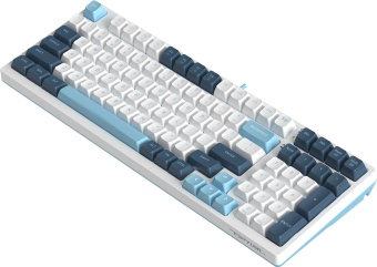 Клавиатура A4Tech Fstyler FS300 механическая белый/синий USB for gamer LED (FS300 PANDA SNOWBOARDING) - цена, купить или заказать с доставкой в интернет-магазине Клавиатура A4Tech Fstyler FS300 механическая белый/синий USB for gamer LED (FS300 PANDA SNOWBOARDING) - купить недорого с доставкой в интернет-магазине