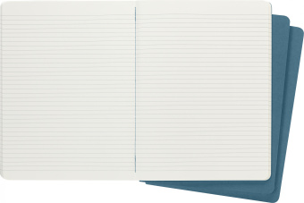 Блокнот Moleskine CAHIER JOURNAL CH021B44 XLarge 190х250мм обложка картон 120стр. линейка голубой (3шт) - купить недорого с доставкой в интернет-магазине