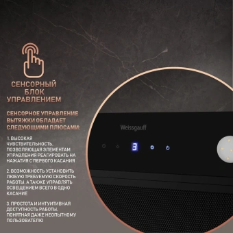 Вытяжка встраиваемая Weissgauff Dubhe 600 Touch черный управление: кнопочное (1 мотор) - купить недорого с доставкой в интернет-магазине
