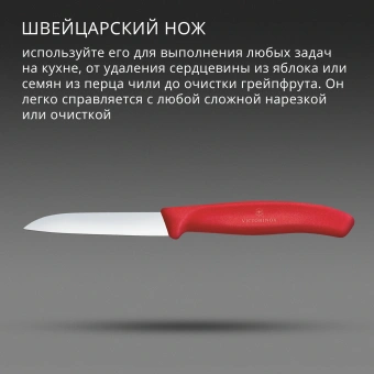 Нож кухонный Victorinox Swiss Classic (6.7401.C1) стальной для чистки овощей и фруктов лезв.80мм прямая заточка красный - купить недорого с доставкой в интернет-магазине