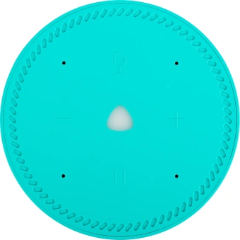 Умная колонка Yandex Станция Лайт Алиса бирюзовый 5W 1.0 BT 10м (YNDX-00025G) - купить недорого с доставкой в интернет-магазине