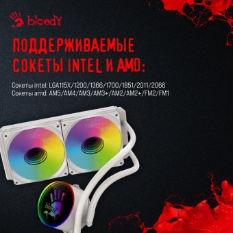 Система водяного охлаждения Bloody BD-LC240ARGB1 ARGB Soc-AM5/AM4/1200/1700/1851 белый 4-pin 22-35dB Al+Cu LCD 260W 1200gr Ret (BD-LC240ARGB1-WH) - купить недорого с доставкой в интернет-магазине