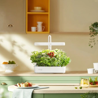 Кашпо Cactus Garden CS-LEDPOT-10 2.0л белый - купить недорого с доставкой в интернет-магазине