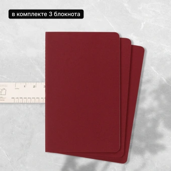Блокнот Moleskine CAHIER JOURNAL CH111 Pocket 90x140мм обложка картон 64стр. линейка клюквенный (3шт) - купить недорого с доставкой в интернет-магазине