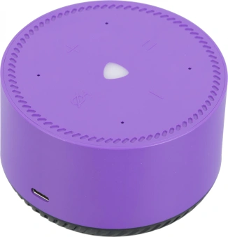 Умная колонка Yandex Станция Лайт Алиса фиолетовый 5W 1.0 BT 10м (YNDX-00025P) - купить недорого с доставкой в интернет-магазине