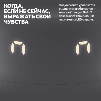 Умная колонка Yandex Станция Лайт 2 Алиса графитовый 6W 1.0 BT/Wi-Fi 10м (YNDX-00026GRY) - купить недорого с доставкой в интернет-магазине