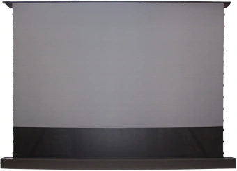 Экран Cactus 120" 148x263см FloorRising CS-PSFRALR-263X148 16:9 напольный рулонный черный (моторизованный привод) - купить недорого с доставкой в интернет-магазине