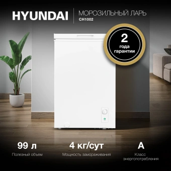 Морозильный ларь Hyundai CH1002 белый 70Вт - купить недорого с доставкой в интернет-магазине