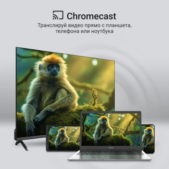Телевизор QLED Digma 65" DM-LED65UQB31 Google TV Frameless Metal черный/черный 4K Ultra HD 60Hz MEMC DVB-T DVB-T2 DVB-C DVB-S DVB-S2 USB WiFi Smart TV - купить недорого с доставкой в интернет-магазине