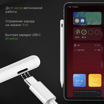 Стилус Digma Pro i2 для Apple iPad/Pro/Air/Mini белый (DGSPI2WT) - купить недорого с доставкой в интернет-магазине