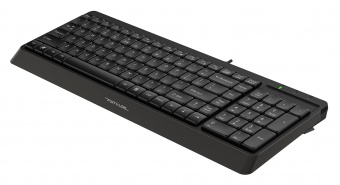 Клавиатура A4Tech Fstyler FK15 черный USB - купить недорого с доставкой в интернет-магазине