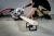 Торцовочная пила Metabo KGS 305 M 1600Вт 3700об/мин d=305мм - купить недорого с доставкой в интернет-магазине