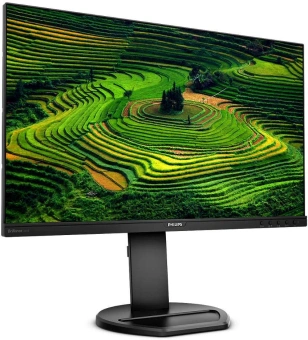 Монитор Philips 23.8" 241B8QJEB (00/01) черный IPS LED 16:9 DVI HDMI M/M матовая HAS Piv 1000:1 250cd 178гр/178гр 1920x1080 75Hz VGA DP FHD USB 4.97кг - купить недорого с доставкой в интернет-магазине