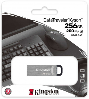 Флеш Диск Kingston 256Gb DataTraveler Kyson DTKN/256GB USB3.1 серебристый/черный - купить недорого с доставкой в интернет-магазине