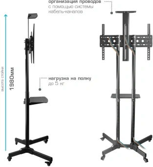 Стойка для телевизора Kromax OMEGA-19 черный 30"-70" макс.55кг напольный мобильный - купить недорого с доставкой в интернет-магазине