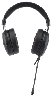 Наушники с микрофоном Acer AHW120 черный 2.1м мониторные USB оголовье (ZL.HDSCC.01C) - купить недорого с доставкой в интернет-магазине