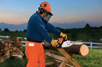 Бензопила Stihl MS 170 1300Вт 1.8л.с. дл.шины:16" (40cm) (11302000334) - купить недорого с доставкой в интернет-магазине