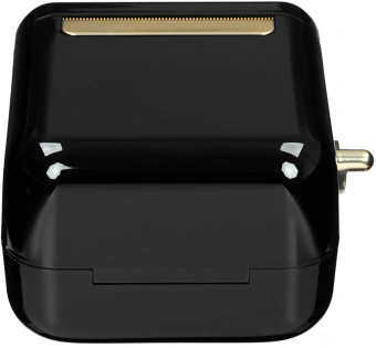 Термопринтер Niimbot B21S (1746727) 203dpi 60мм/с/USB/BT для печ.этик. черный - купить недорого с доставкой в интернет-магазине