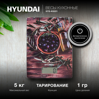 Весы кухонные электронные Hyundai HYS-KG221 макс.вес:5кг рисунок - купить недорого с доставкой в интернет-магазине